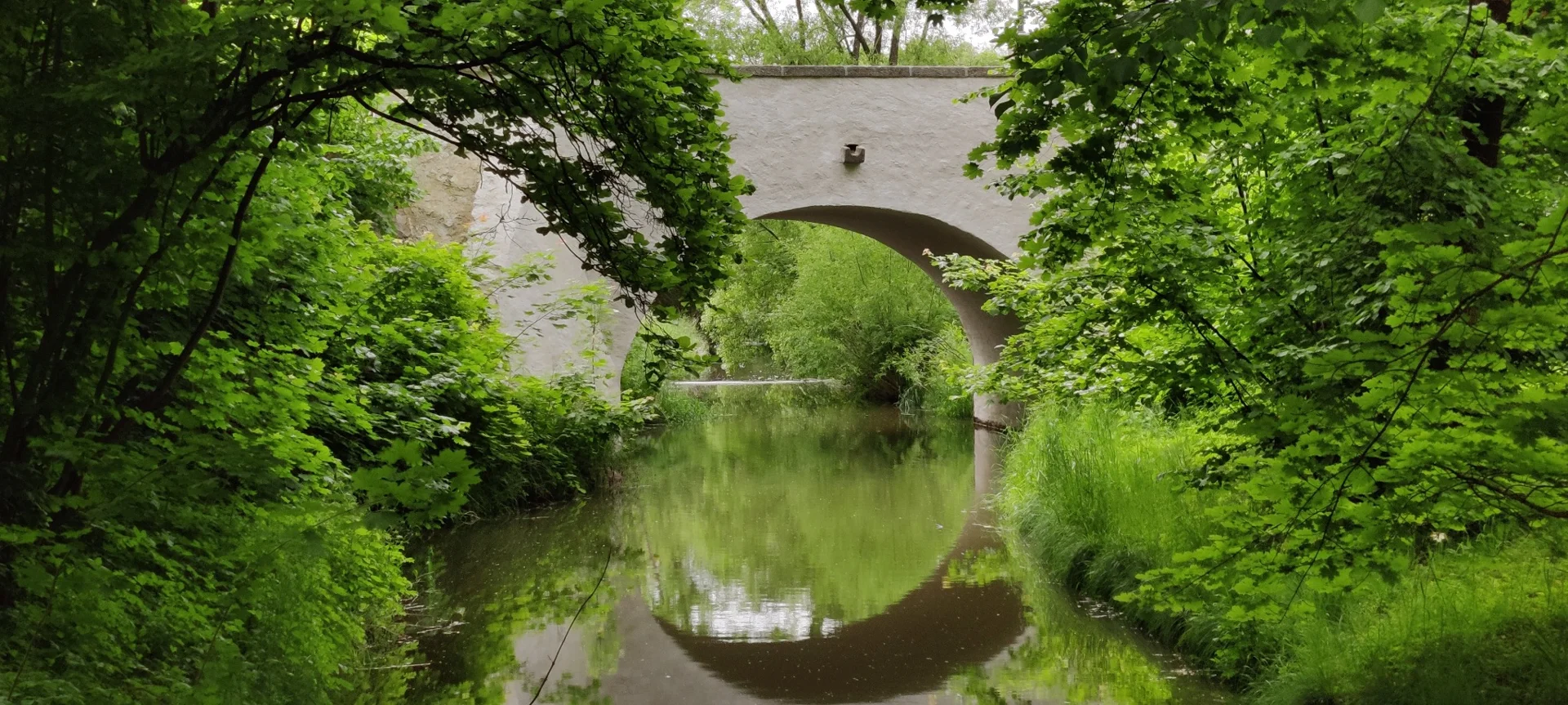 A stone bridge spanning a quiet river beneath green trees